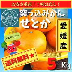 初売り 福袋 2025年最新】デコポン 20kgの人気アイテム - メルカリ 果物