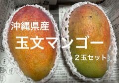 沖縄県産〉訳あり 玉文マンゴー2玉セット - メルカリ