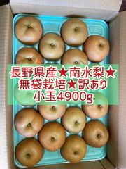 長野県産★南水梨★無袋栽培★訳あり★4900g