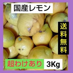 国産レモン　超訳あり　3キロ（箱込み）　大小混合　送料無料　和歌山県　マルマ農園のサムネイル