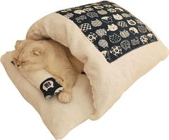 Item thumbnail for item 75d4aa25-3ef0-4c46-9f36-c871a0e97b5e