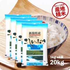 米 新潟産こしいぶき20kg  お米 令和6年産 白米 送料無料（沖縄のぞく）