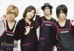 【中古】生写真(男性) ギルド/集合(4人)/横型・膝上・右手ピース/CD「Flowers The Super Best of Love」新星堂特典