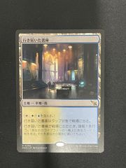 【MTG・土地】行き届いた書庫(日本語)