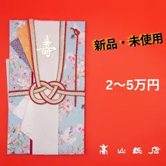 【水色 金封】新品・未使用 ご祝儀袋 のし袋 金封 (17)
