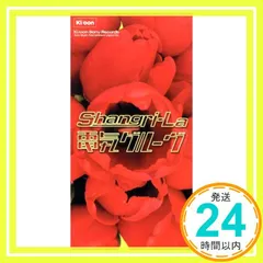 電気グルーヴ Shangri-La シャングリラ レコード12inch - 邦楽