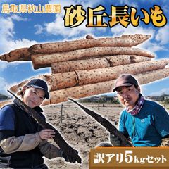 2月中旬下旬以降予約順に発送予定☆鳥取県産 長いも【訳あり：自家用】約5kg程度農家指定：秋山農園：長芋ながいも長イモナガイモ