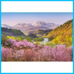 【迅速発送】1000ピース ジグソーパズル 春茜 月山と大山桜 (50x75cm)