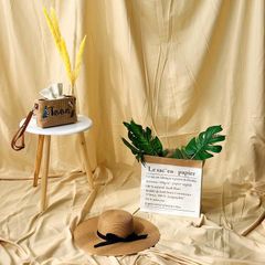 Item thumbnail for item 24ab0ed0-4e68-4cc5-a9a9-c6aaba9be3fe