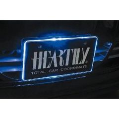 ＬＥＤナンバーベース　各種カラー(こちらはブルーです)