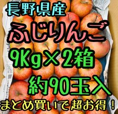 お得な2箱SET！9㌔2箱約85玉入　長野県産　送料無料　安い
