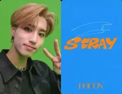 【中古】コレクションカード(男性) Stray Kids/HAN(ハン)/裏面青・印刷サイン入り/「DICON D’FESTA MINI EDITION Stray Kids」フォトカード