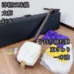 2025年最新】三味線 太棹の人気アイテム - メルカリ
