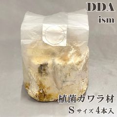 【DDA】植菌カワラ材 Sサイズ 4本入 加水不要 dda クワガタ 産卵木 クヌギ コナラ カワラ