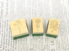 消しゴムはんこ　ネイティブフラワーセット1