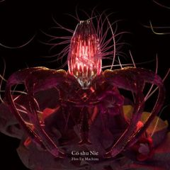 超希少盤】DJ Nicopolske vs 初音ミク / キタノクニカラ 7