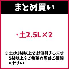 （まとめ買い） 土2.5L × 2 (手袋は1セット) アンスリウム アンシカル アンスリューム