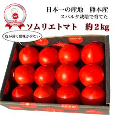 受賞歴３回！ソムリエトマト箱込み２kg（8玉～18玉）