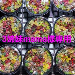3姉妹mama様専用