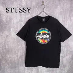 『STUSSY』ステューシー (L) フロントデザインTシャツ