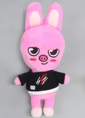 skzoo ATEぬいぐるみ トゥエッキ stray kids トゥエッキ10cmぬいぐるみ - メルカリ