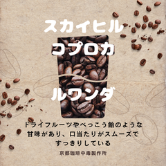 焙煎コーヒー豆　スカイヒル　生豆2００g