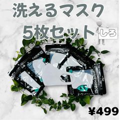 即購入可　新品未使用　白洗えるマスク　ウレタンマスク　白マスク　5枚　セット　花粉症