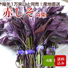 赤しそ 1kg 250g×4束 赤シソ 梅干し用 赤紫蘇ジュース用 福岡県芦屋産