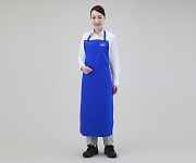 Item thumbnail for item 89042235-e591-4675-9ce2-7df1c5712f21