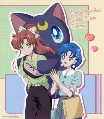 【中古】雑貨 木野まこと＆水野亜美 ミニアートパネル 「劇場版 美少女戦士セーラームーンCosmos×ナムコキャンペーン」 第1弾クレーンゲームプレイ特典