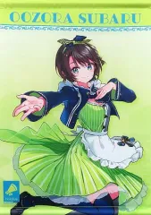 2026年最新】大空スバル タペストリーの人気アイテム - メルカリ