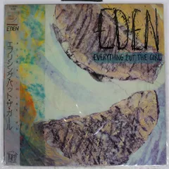 Everything But The Girl LP アナログ レコード P5030297.jpg?v=1588643754&