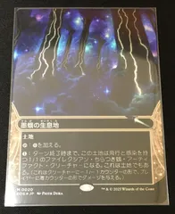 墨蛾の生息地　日1 英3 4枚セット 墨蛾の生息地 [MBS] 【BIGWEB | MTG】日本最大級の激安カード