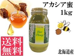 アカシア蜜1kg 非加熱 生はちみつ 国産 純粋 送料無料