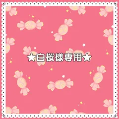 ★白桜様専用★　ぬい服　2着おまとめ