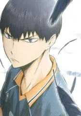 【中古】アニメBlu-ray Disc ハイキュー!! 烏野高校 VS 白鳥沢学園高校 Vol.5 [初回生産限定版]