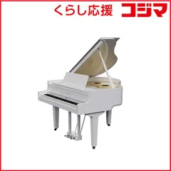 2025年最新】roland gp 100の人気アイテム - メルカリ