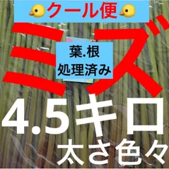 2024年最新】うわばみ草の人気アイテム - メルカリ