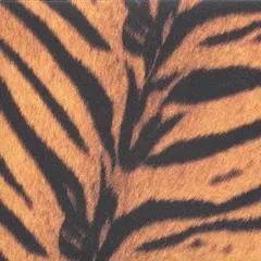 ザ・ハイロウズ/タイガーモービル（Tigermobile） 初回生産限定盤