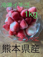 冷凍イチゴ　1kg   熊本県産　ゆうべに