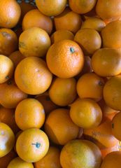 家庭用◆和歌山県産◆清見オレンジ◆4.8kg◆サイズ混合