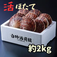 大学生協のスーツ提携店割引 2025年最新】二枚貝ほたての人気アイテム メルカリ - その他