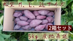 なると金時　丸型　M,L,２Lサイズ　１０㎏（５㎏×２）