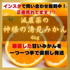 君島十和子 エッセイ・フォトブックセット 進化し続ける美のカリスマ