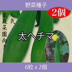 野菜種子 ECS 太ヘチマ 6粒 x 2袋