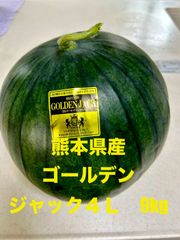 【産地直送・希少スイカ】熊本県産大玉黒すいか　ゴールデンジャック４Ｌ　黄色すいか種なしすいか　正規品　秀品　贈答用
