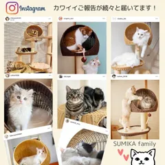 ⭐︎ドン太コス⭐︎SUMIKAキャットタワーハイエンド&ジュリニャッタ&スケル Amazon | [SUMIKA 突っ張り型 木製 キャットタワー 専用