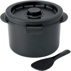 【新品・送料無料】電子レンジ調理器具 糖質カットご飯メーカー 2合炊き 炊飯器 (しゃもじ レシピ 付属) UDG2Nのサムネイル