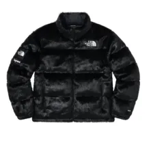 2025年最新】supreme the north face nuptse furの人気アイテム