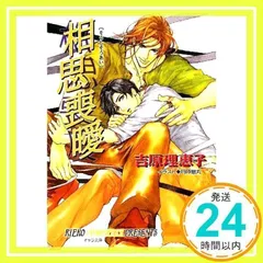間の楔 ポスター2枚 非売品 吉原理恵子 【匿名配送】 間の楔 ポスター
